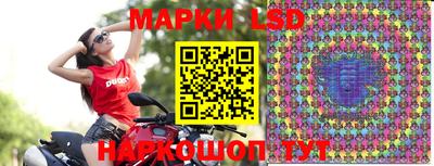 винт Краснодар