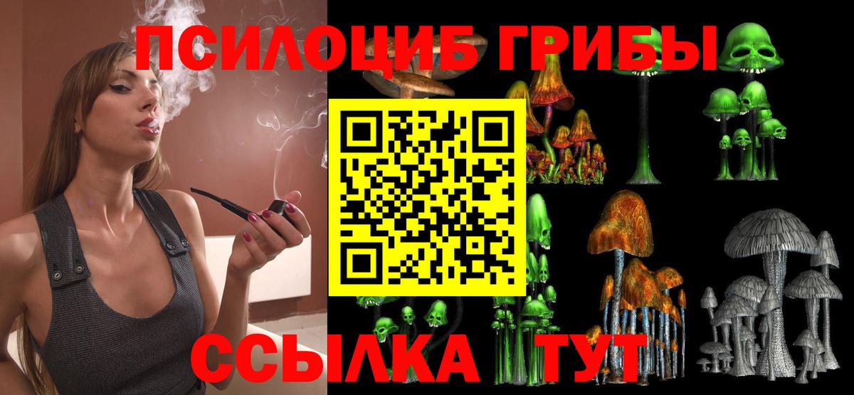 Псилоцибиновые грибы прущие грибы  Вход с VPN  Ижевск  Галлюциногенные грибы GOLDEN TEACHER 