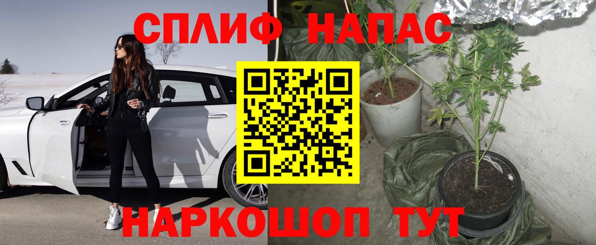 Ижевск  Канабис Amnesia  Шишки марихуана ГИДРОПОН  Конопля конопля  Вход с VPN 